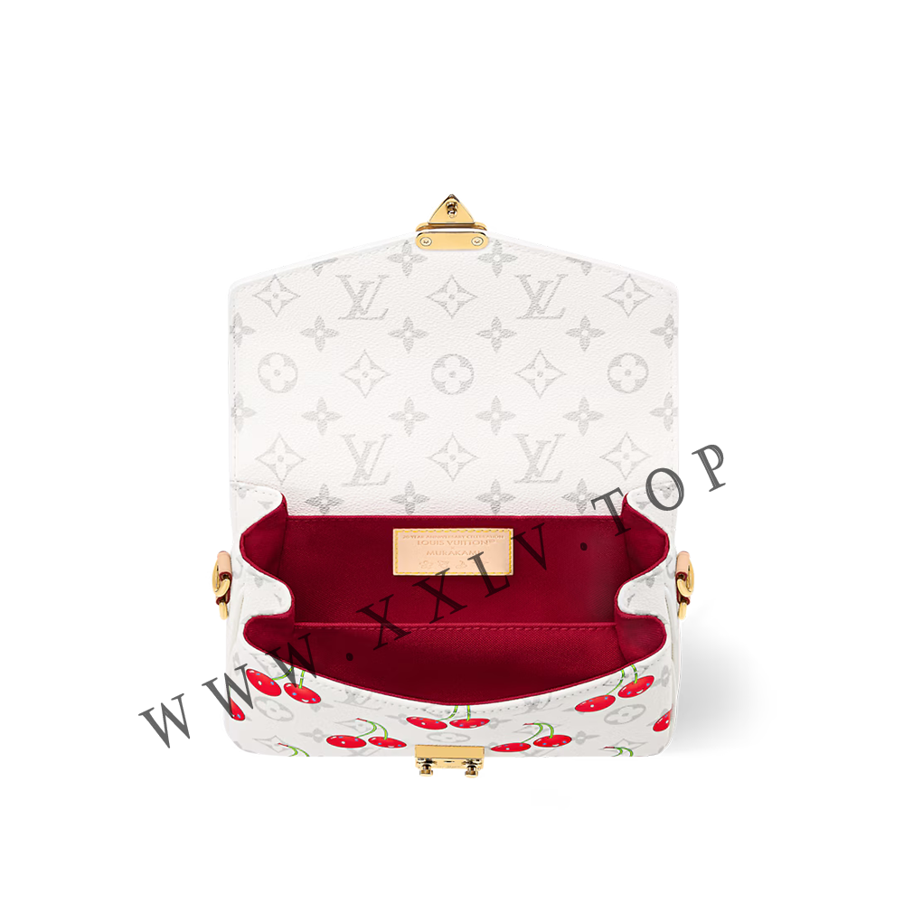 M14231 NEW LV x TM Pochette Métis East West - Image 5
