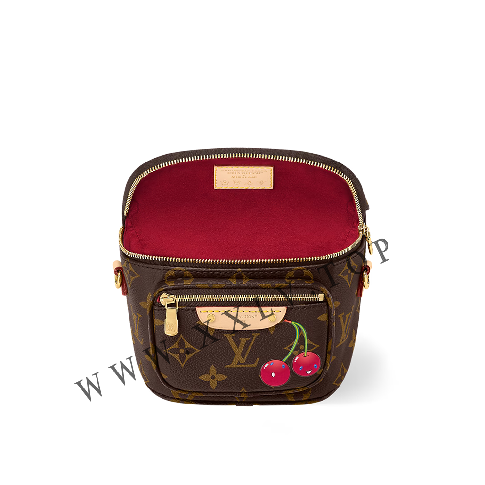 M13449 NEW LV x TM Mini Bumbag - Image 7