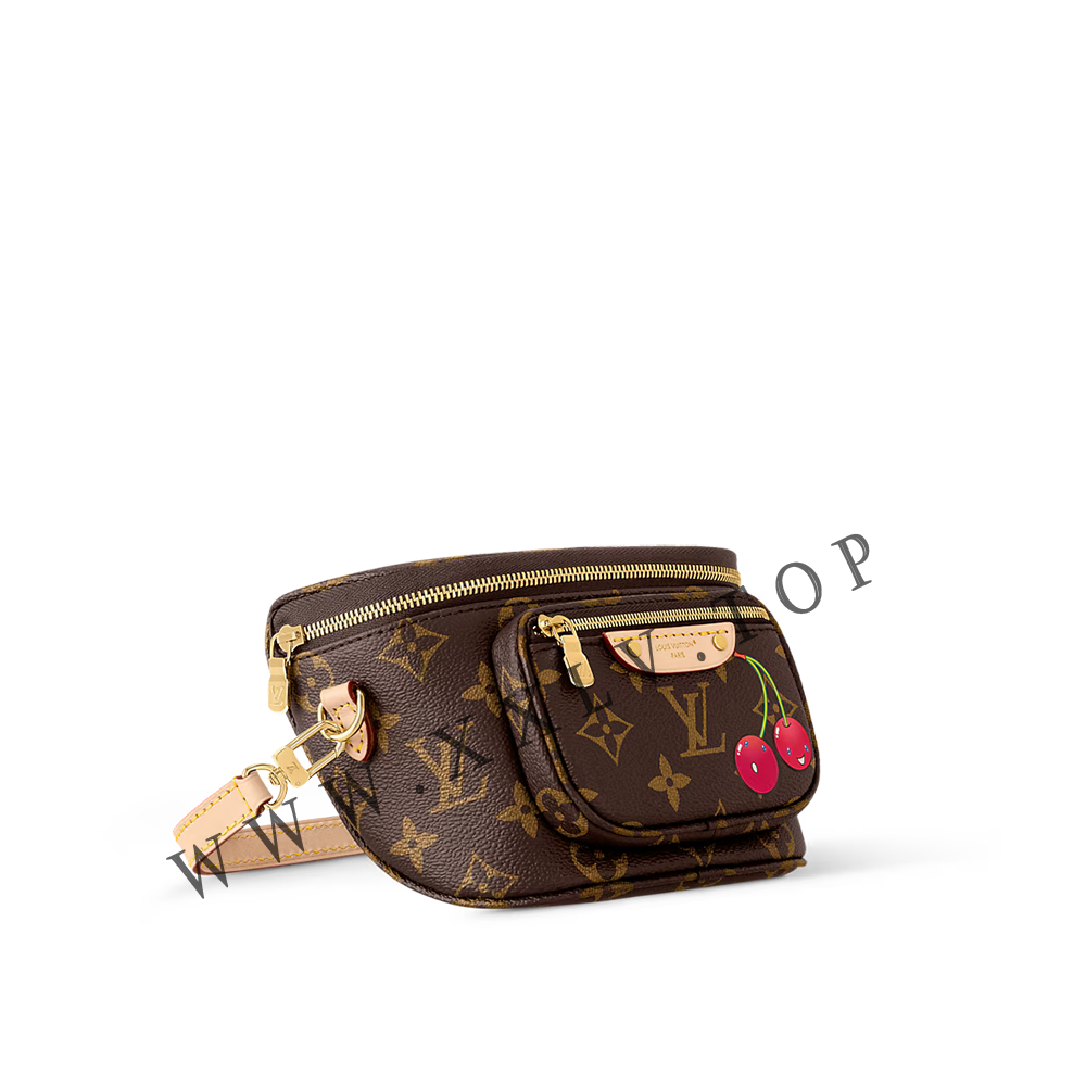 M13449 NEW LV x TM Mini Bumbag - Image 6