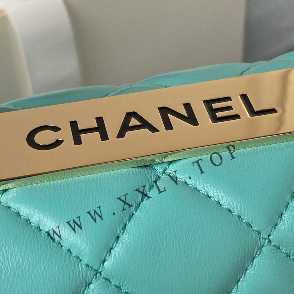 AS4654 Flap Bag with Top Handle - Image 7