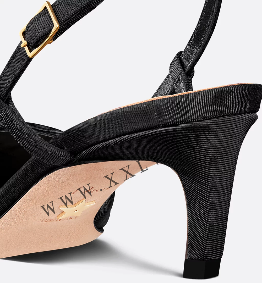 My Dior pump - Image 2