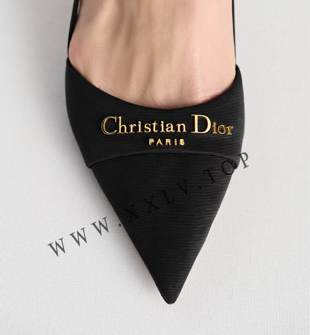 My Dior pump - Image 5
