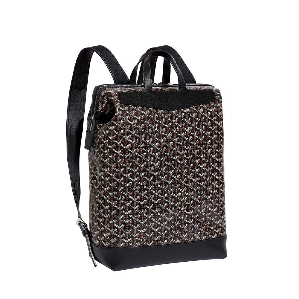 Cisalpin Backpack