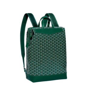 Cisalpin Backpack