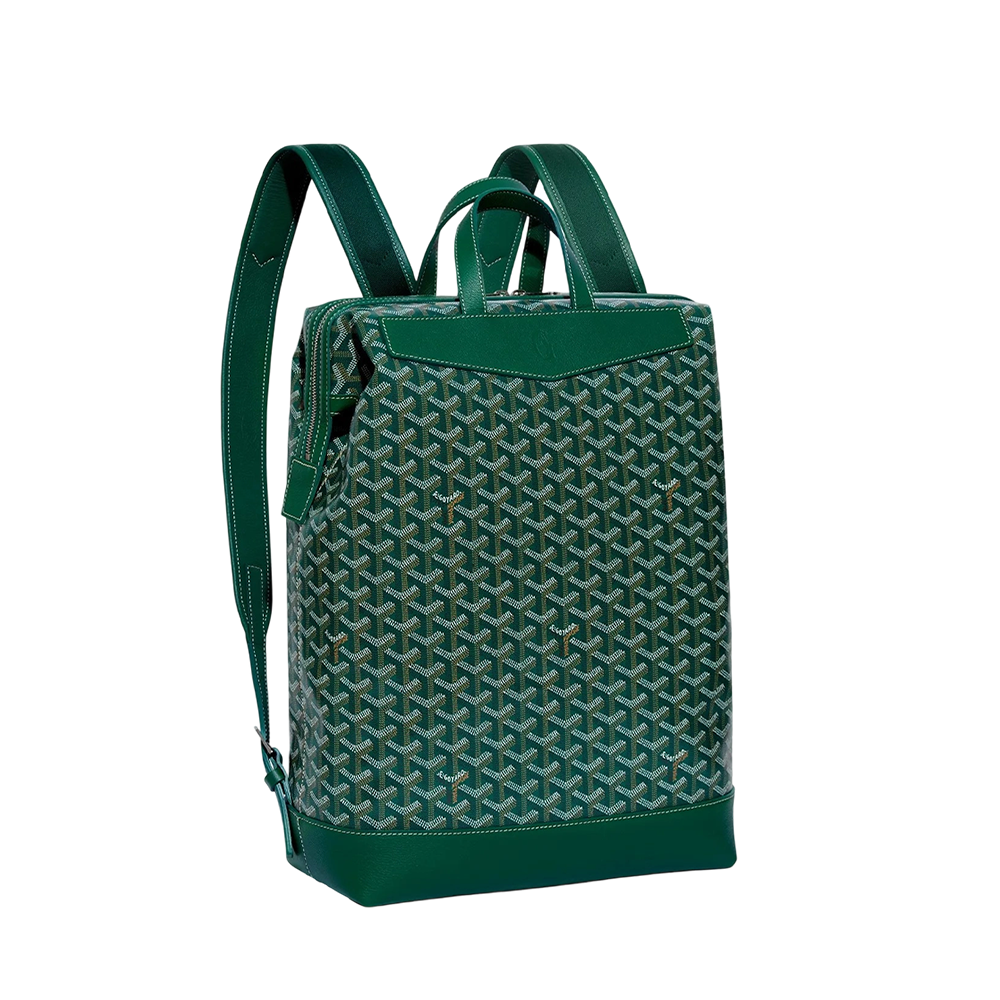 Cisalpin Backpack