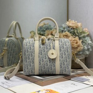 dior groove 25 bag (复制)
